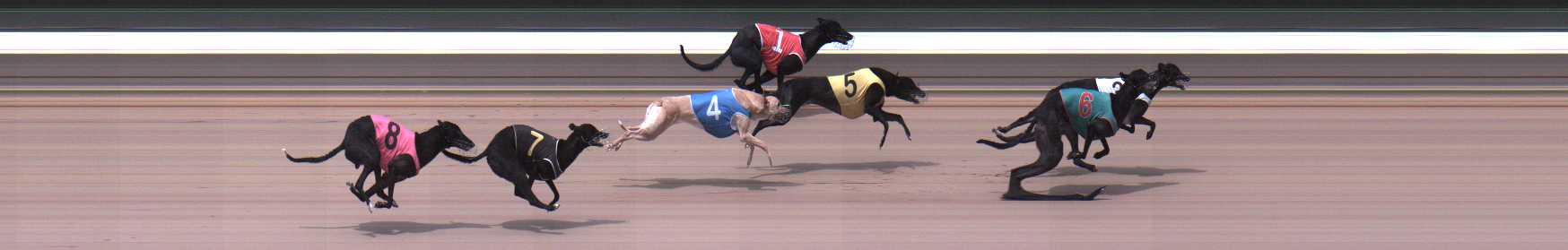 Photo finish for Warragul Race 1