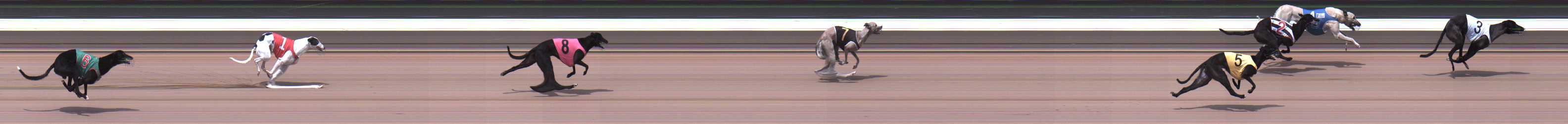 Photo finish for Warragul Race 2