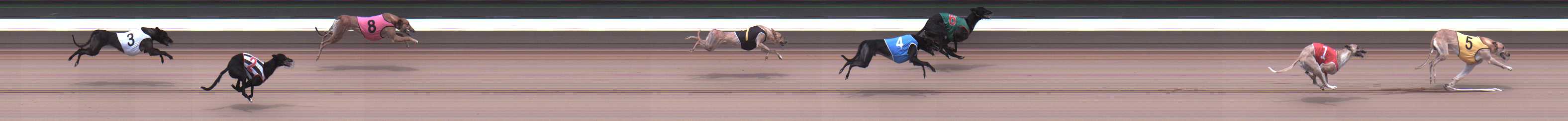 Photo finish for Warragul Race 3