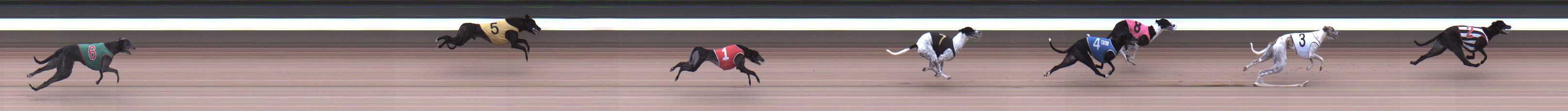 Photo finish for Warragul Race 4