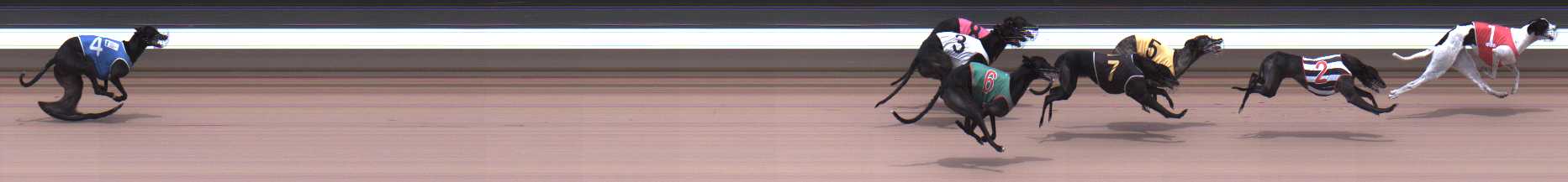Photo finish for Warragul Race 5