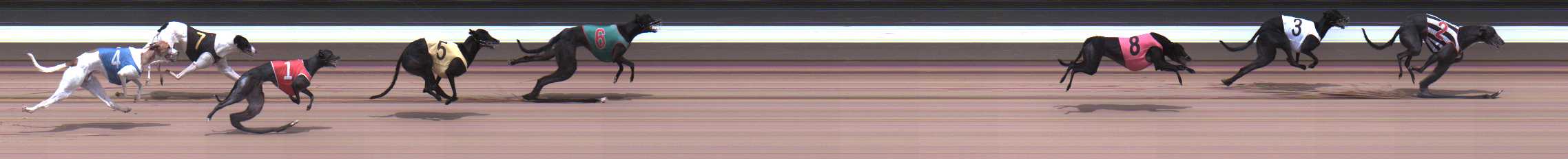 Photo finish for Warragul Race 6