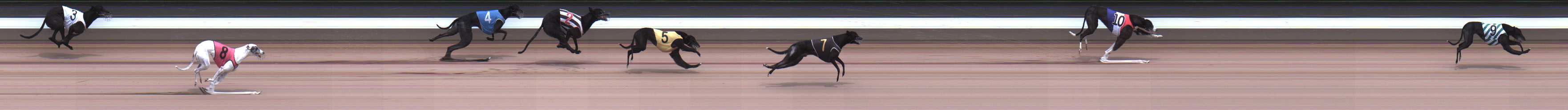 Photo finish for Warragul Race 7