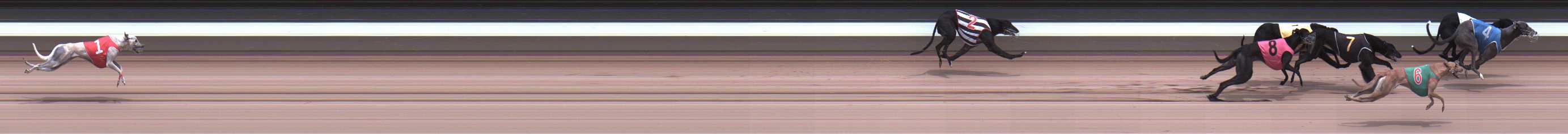 Photo finish for Warragul Race 8