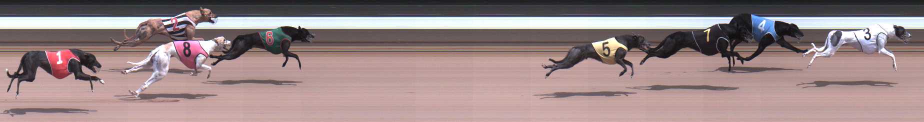Photo finish for Warragul Race 9