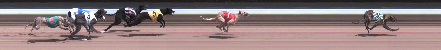 Photo finish for Warragul Race 10
