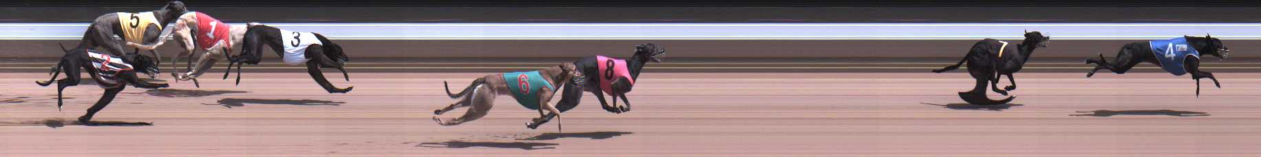 Photo finish for Warragul Race 11