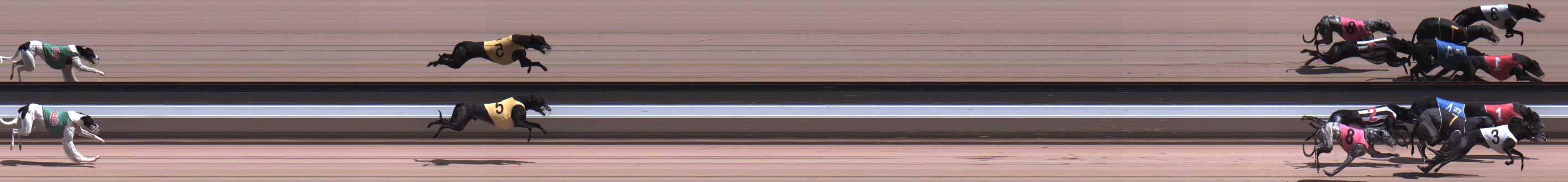Photo finish for Warragul Race 12