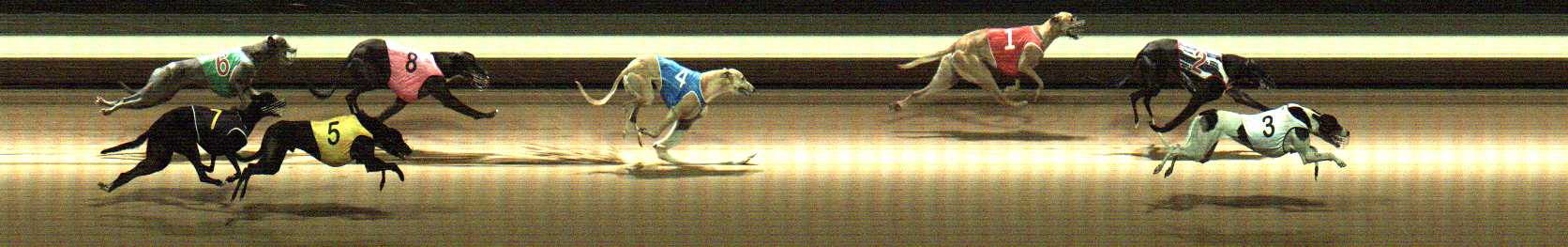 Photo finish for Warragul Race 1