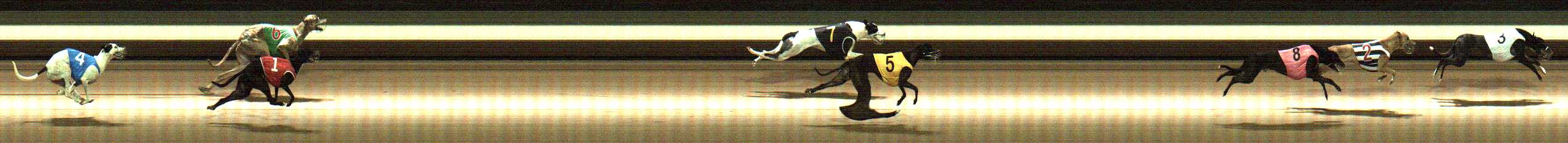 Photo finish for Warragul Race 2