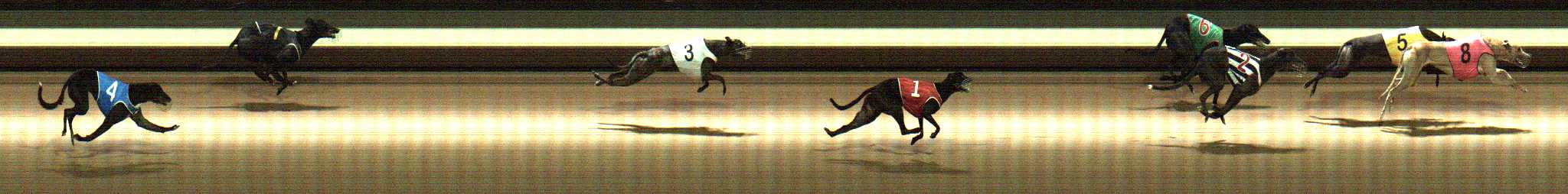 Photo finish for Warragul Race 3