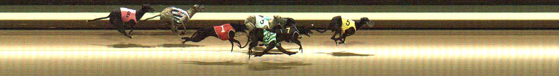 Photo finish for Warragul Race 4