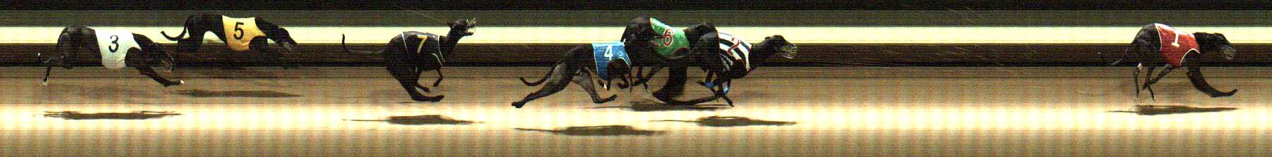 Photo finish for Warragul Race 6