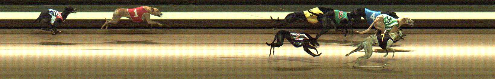 Photo finish for Warragul Race 7