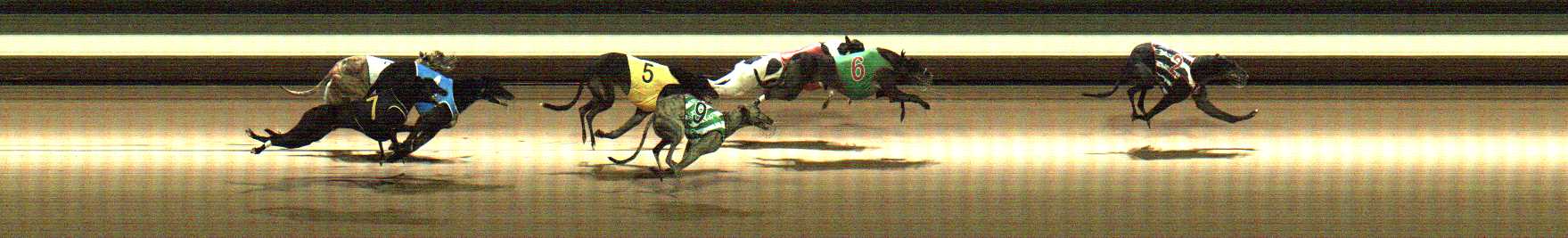 Photo finish for Warragul Race 8