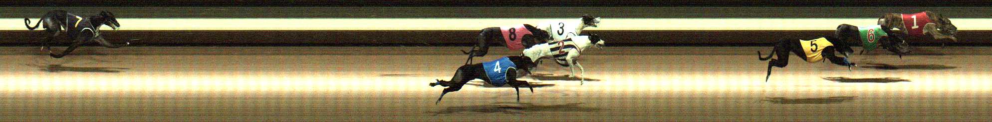Photo finish for Warragul Race 9