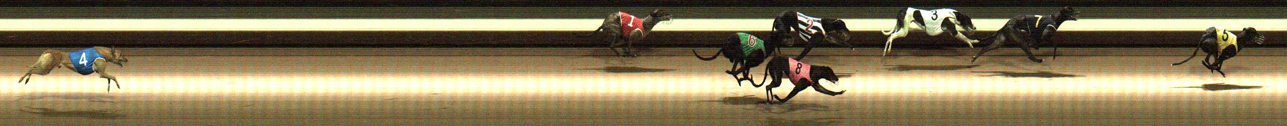 Photo finish for Warragul Race 10