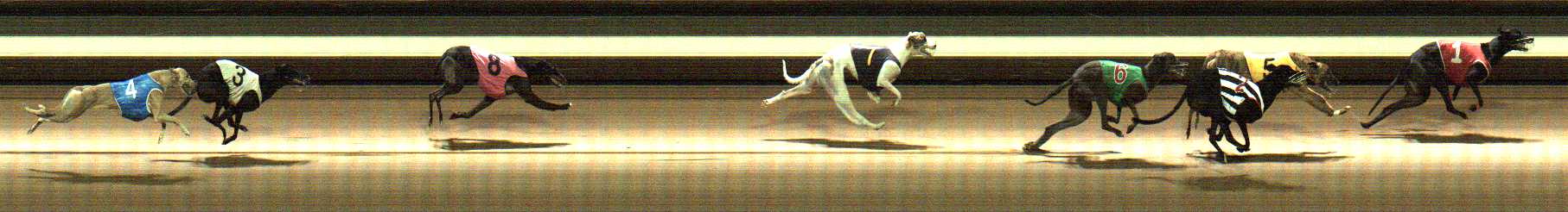 Photo finish for Warragul Race 11