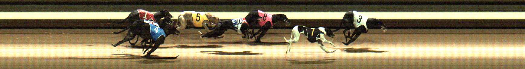 Photo finish for Warragul Race 12