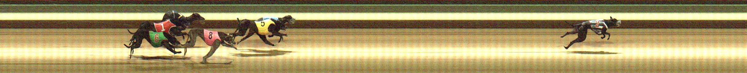 Photo finish for Warragul Race 2