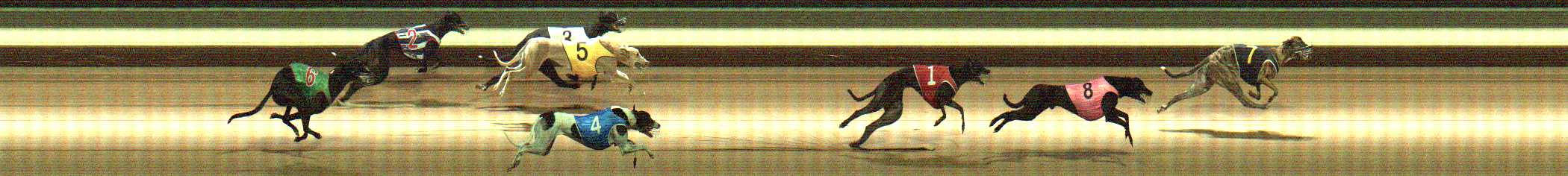 Photo finish for Warragul Race 3
