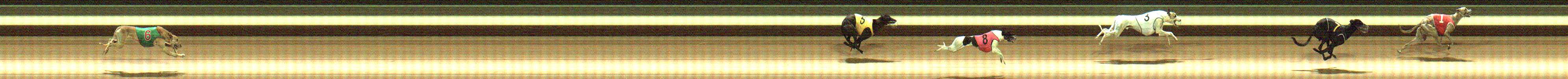 Photo finish for Warragul Race 4