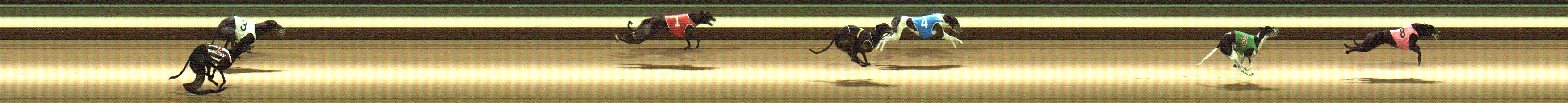 Photo finish for Warragul Race 5