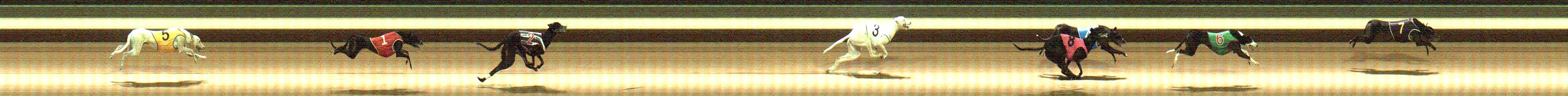 Photo finish for Warragul Race 9