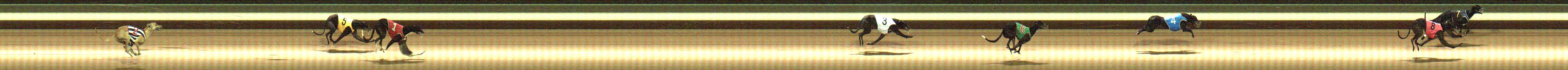 Photo finish for Warragul Race 10