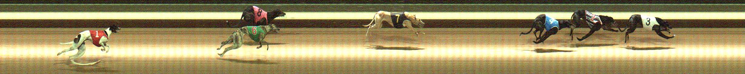 Photo finish for Warragul Race 11