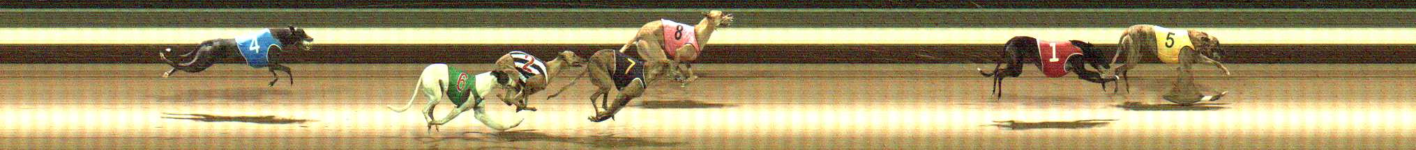 Photo finish for Warragul Race 12