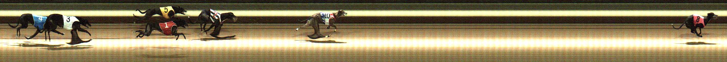 Photo finish for Warragul Race 1