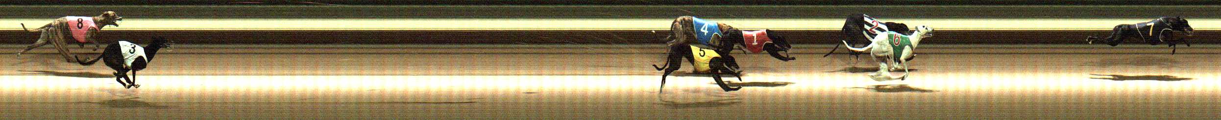 Photo finish for Warragul Race 2