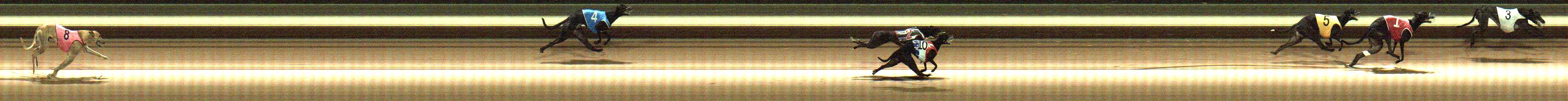 Photo finish for Warragul Race 3