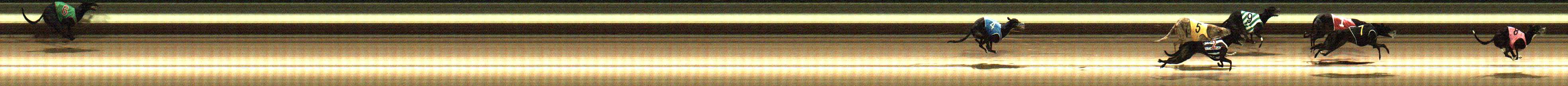 Photo finish for Warragul Race 4