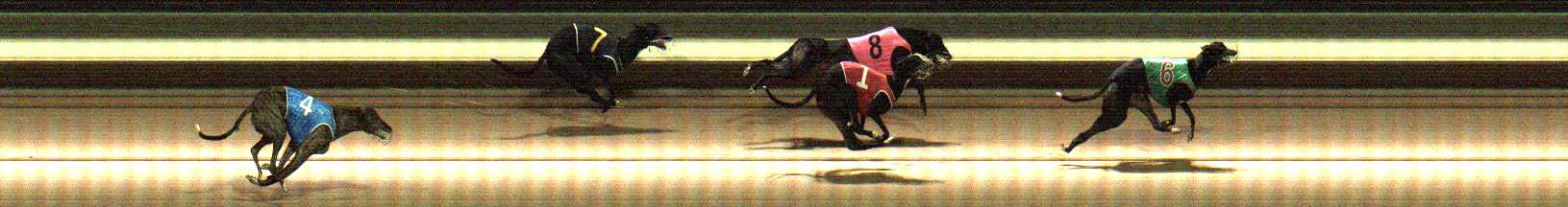 Photo finish for Warragul Race 5