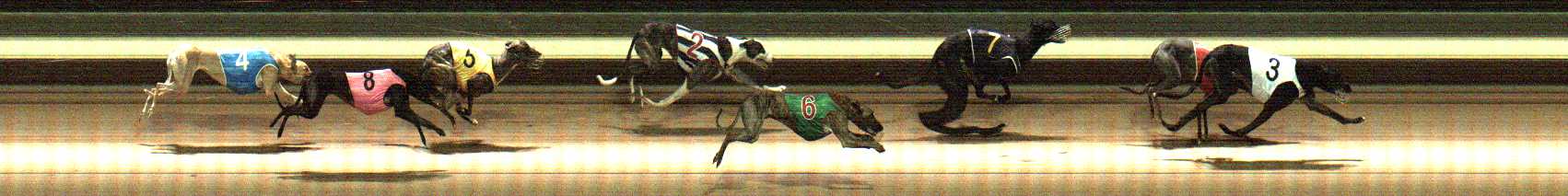 Photo finish for Warragul Race 6