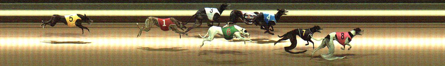 Photo finish for Warragul Race 7