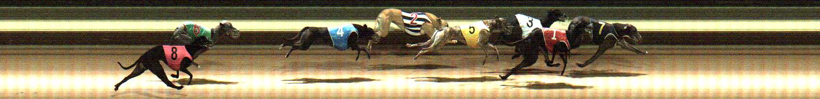 Photo finish for Warragul Race 8