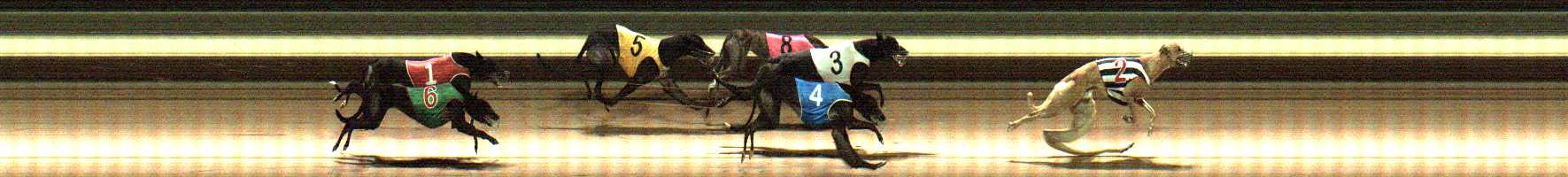 Photo finish for Warragul Race 9