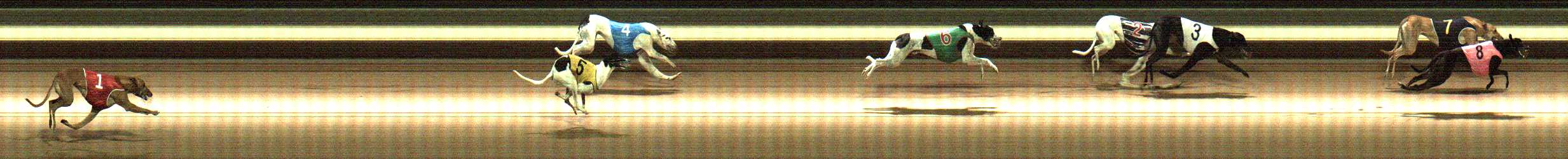 Photo finish for Warragul Race 10