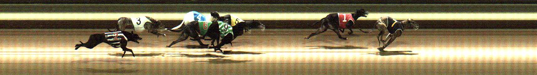 Photo finish for Warragul Race 11