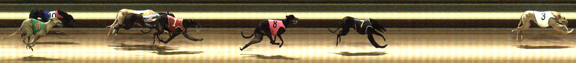 Photo finish for Warragul Race 12