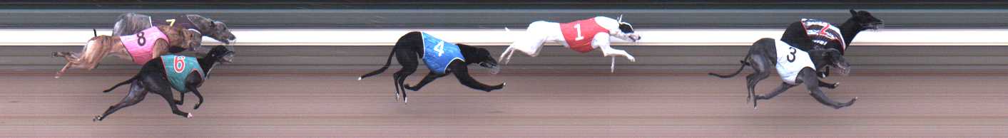 Photo finish for Warragul Race 1