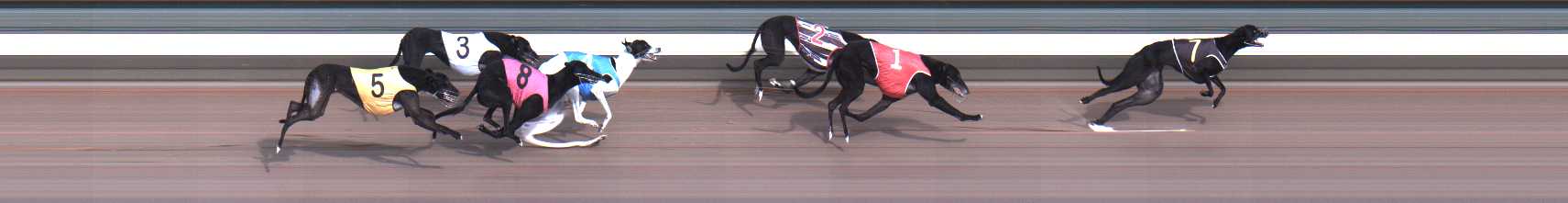 Photo finish for Warragul Race 2