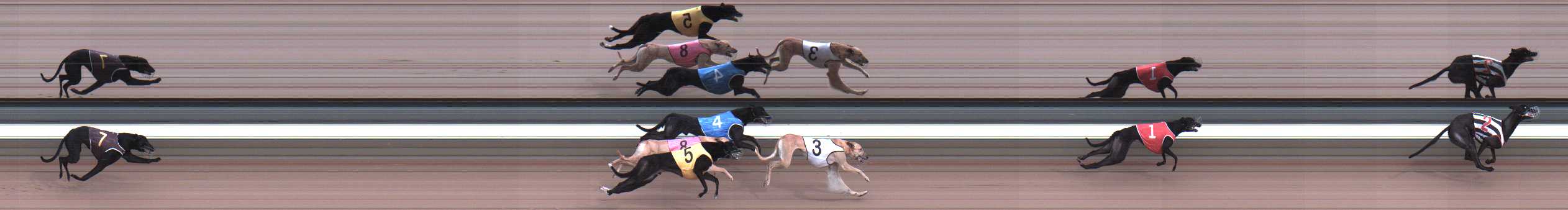 Photo finish for Warragul Race 3