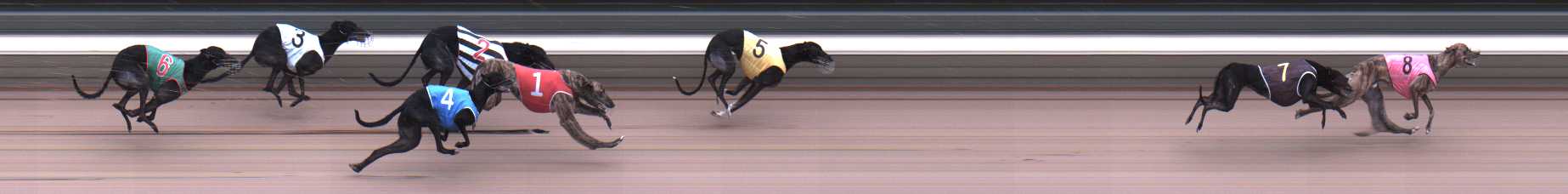 Photo finish for Warragul Race 4