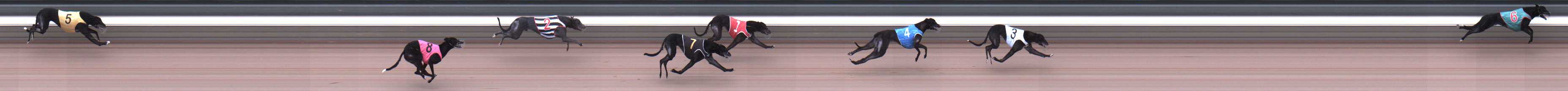 Photo finish for Warragul Race 5