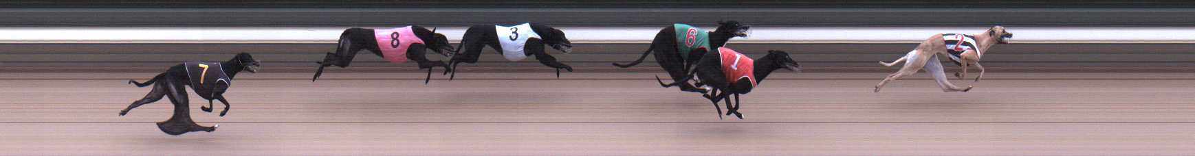 Photo finish for Warragul Race 6