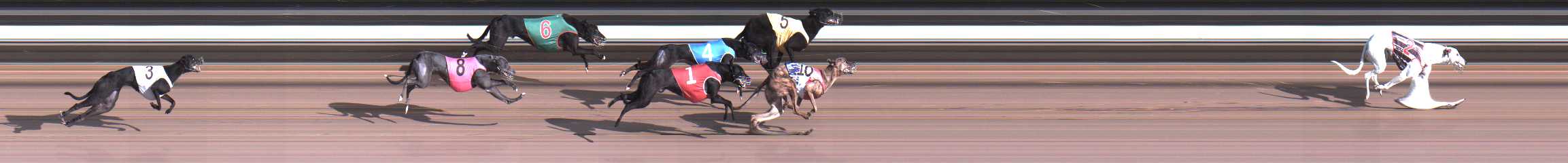 Photo finish for Warragul Race 7